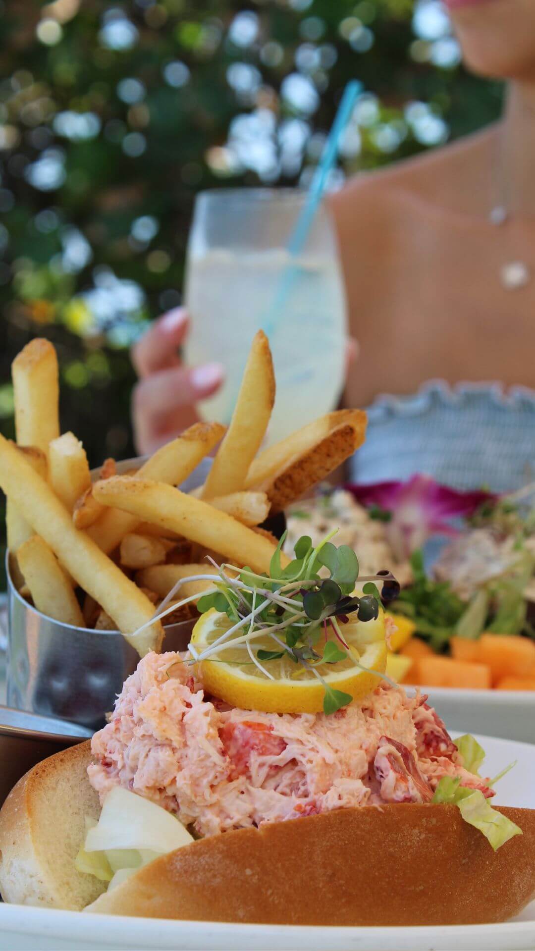 A delicious lobster roll with fries from our client